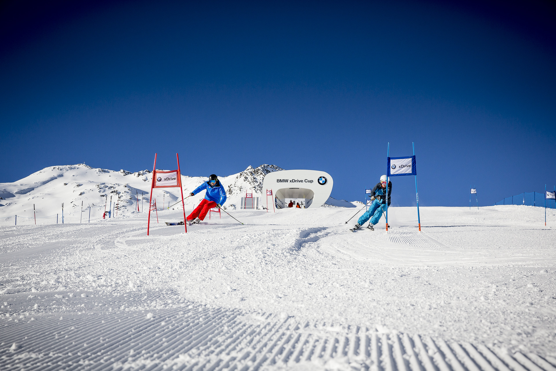 soel adrenalin cup 12 15